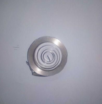 Customize Kinds of Stainless Steel SUS301 Flat Wire Long Cycle Constant Force Spring