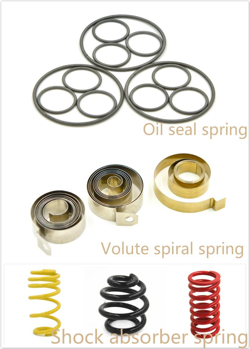 Custom Spray-Paint Compression Bearing Spring