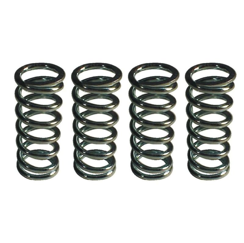 China Factory Customize Stainless Steel Ground Compression Spring