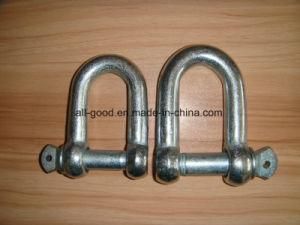 Galvanized European Type Large Dee Shackle