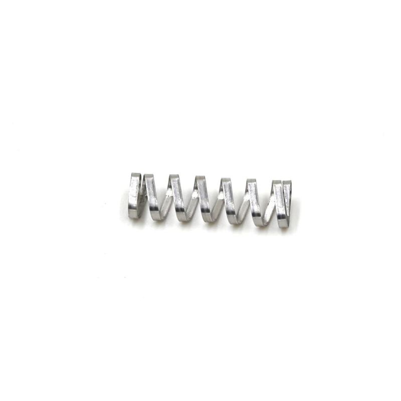 SUS304 Steel Flat Wire Spring