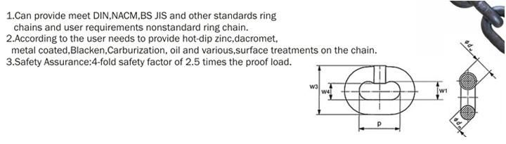 En818 G80 10 mm Galvanized Lifting Chain, Stainless Chain