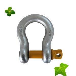 Hot Forged Stainless Steel Material Shackle with D Type