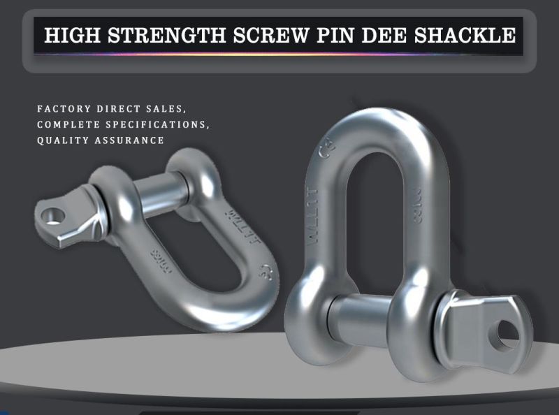 Drop Forged High Tensile Screw Pin/Safety G-209/G-2130 Anchor Shackles
