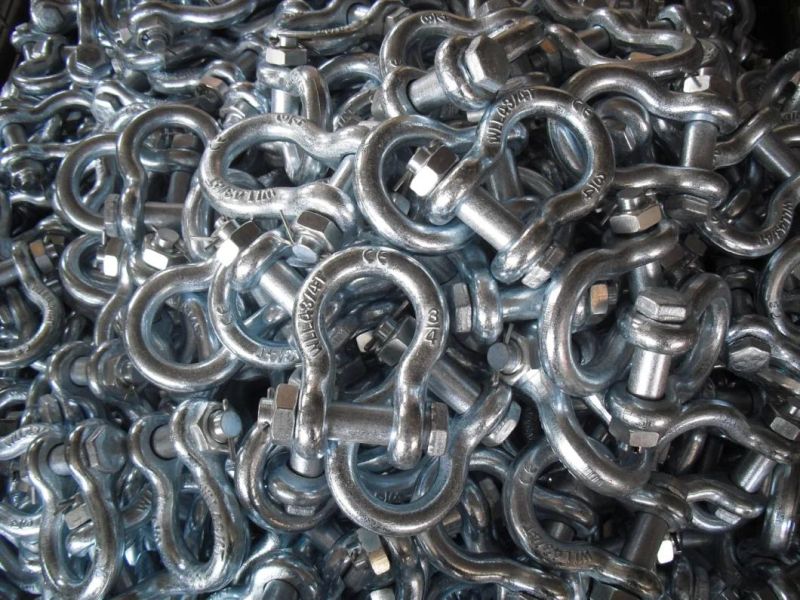 European Bow Type Shackle, E. Galvanized, Good Quality