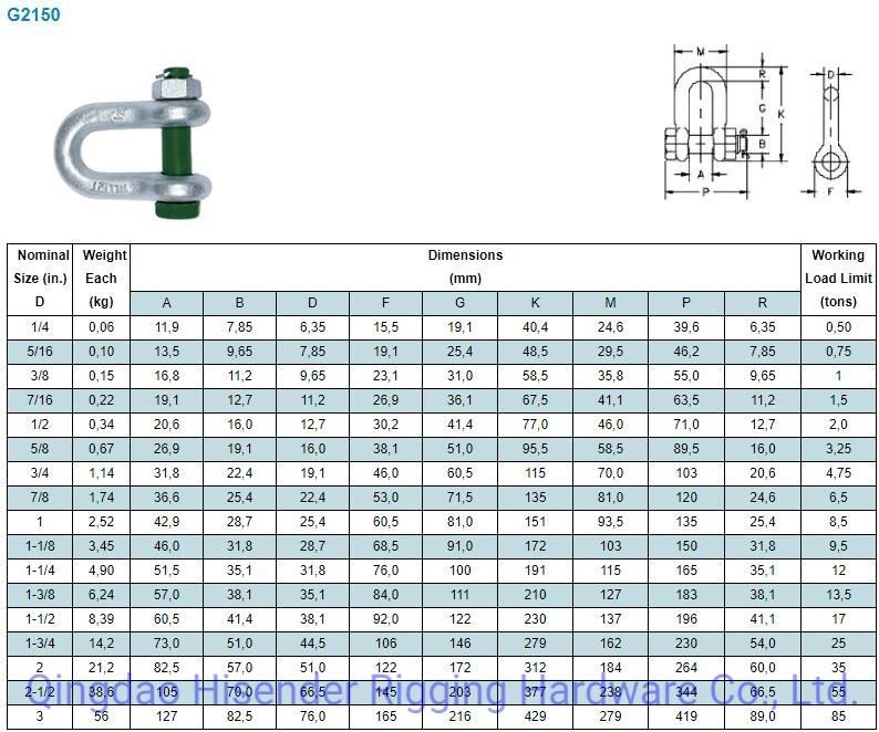 Shackle, D Type, Ss316 and Galvanized Type, European D Type, JIS D Type, Rigging Hardware, Marine Hardware