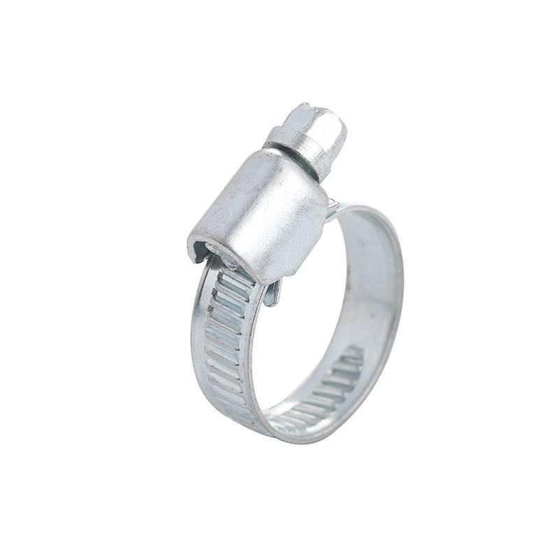 American Type Fastener Carbon Steel Hose Hose Clamp