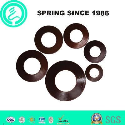 High Precision Stainless Steel Disc Spring