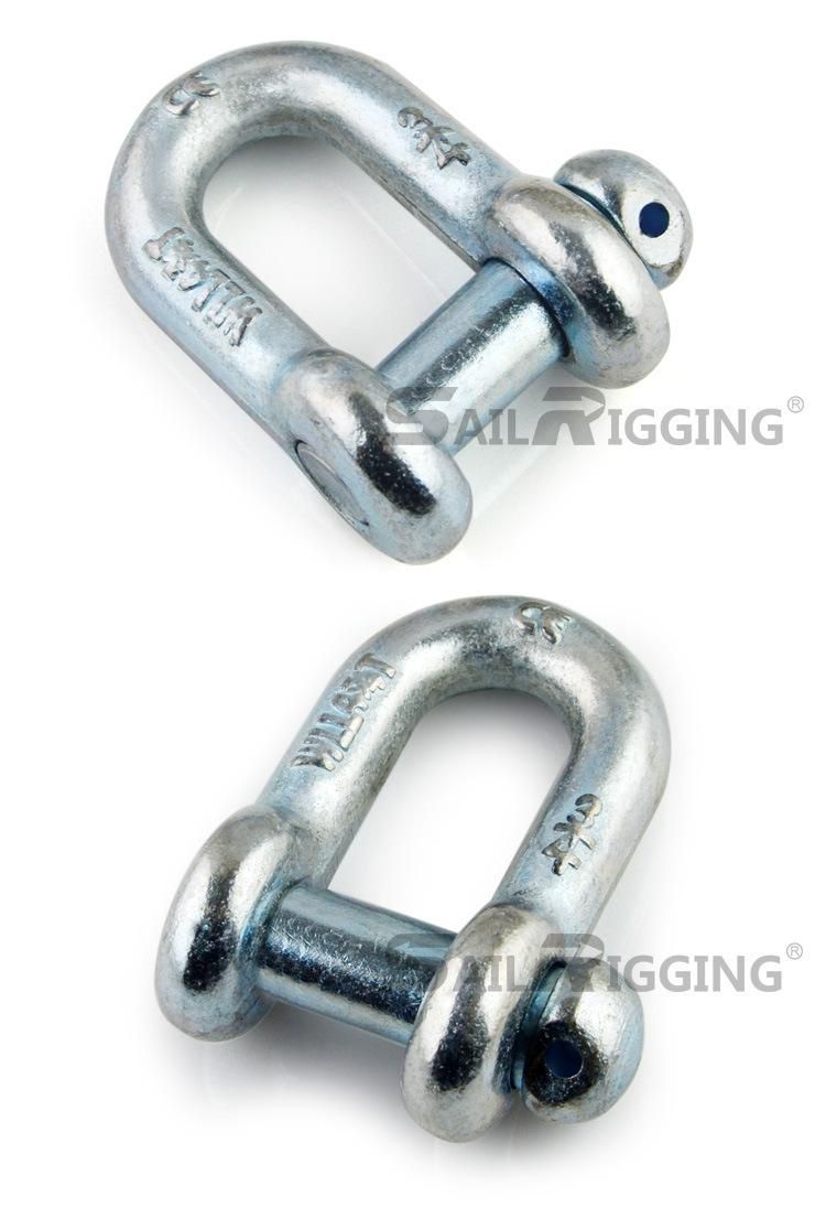 Chinese Manufacture Lifting D Ring Anchor Shackle