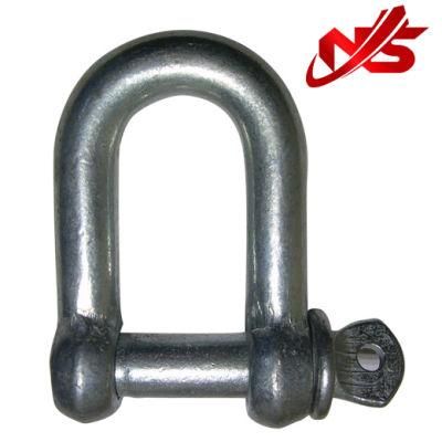 Galvanzed European Type Large D Shackle