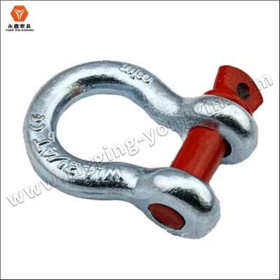 D/U Type Anchor Shackle Galvanized Screw Pin Alloy Steel Anchor Shackle