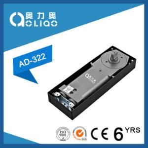 Factory Customized Stainless Steel 304 Conceal Hidden Glass Door Hinge Floor Spring
