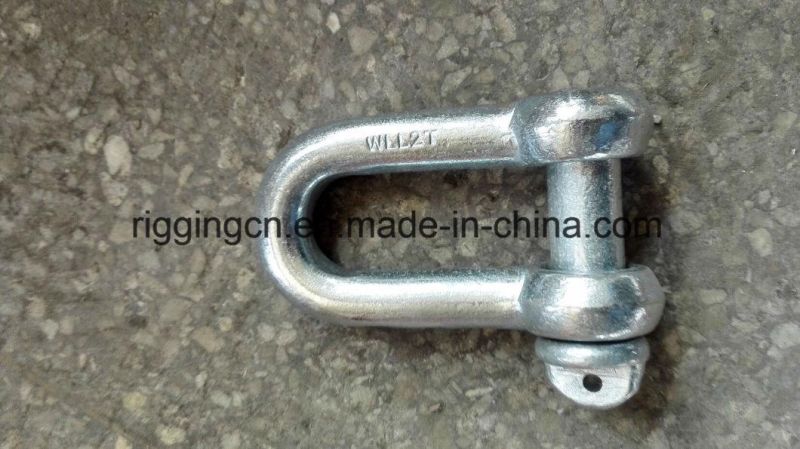 Customed Forged D Shackle with Special Pins and Unnormal Size