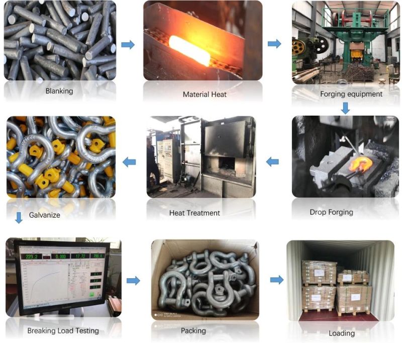 Type Stainless Steel European Type D Shackles