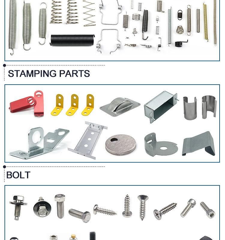 Custom Top Quality Stainless Steel 304 Torsion Spring with Competitive Price