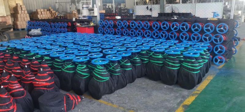 Ductile Iron DN 80 Pn16 Gate Valve Prices Rising Stem Resilient Gate Valve Cast Iron Rubber Seal Gate Valve