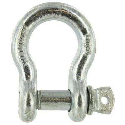 China Factory of Rigging Series (shackle/eye hook/clevis hook) with Best Quality