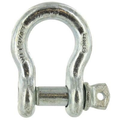 High Tensile Commercial Type Bow Shackle with Factory Direct Sale