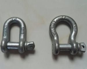 Factory Supplier Screw Pin G210 Drop Forged Carbon Steel D Shackle Rigging