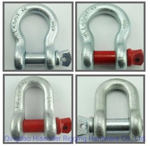 Shackle, D Type, Ss316 and Galvanized Type, European D Type, JIS D Type, Rigging Hardware, Marine Hardware