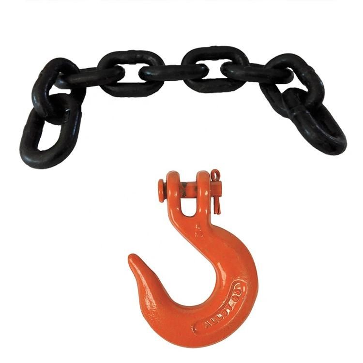 High Strength Strong Carbon Steel Hoist Chain for Equipment Industry