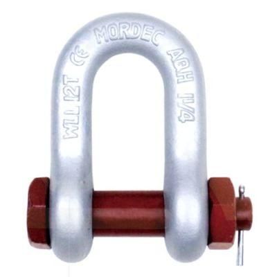 4mm-32mm China Stainless Steel 304/316 D Anchor Shackle