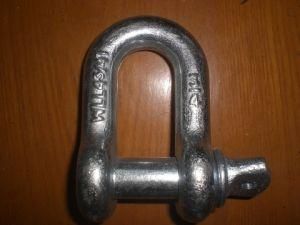 US Type Shackle