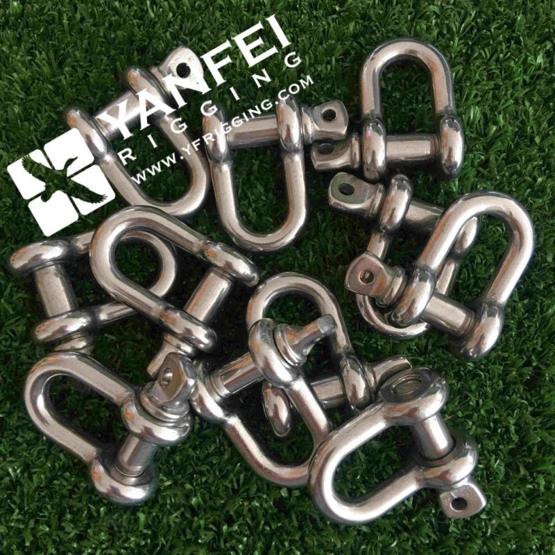 Stainless Steel European Type D Shackle