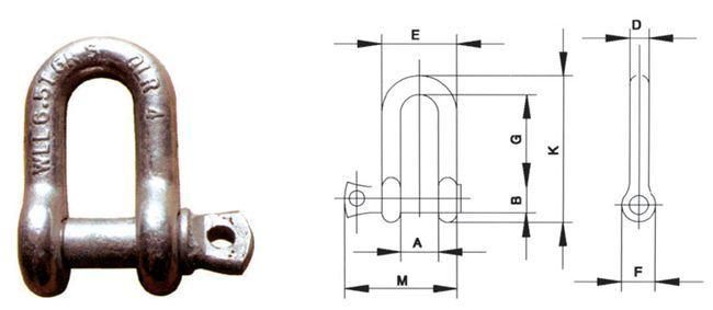 Alloy Steel European Type Large Dee Shackle for Marine