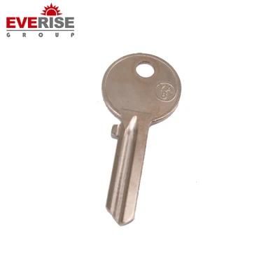 Blank Key with Brass Material and Also Customize The Logo