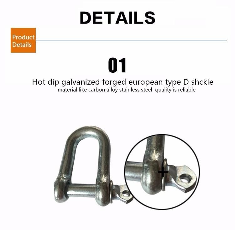 European Type Drop Forged Dee Shackle