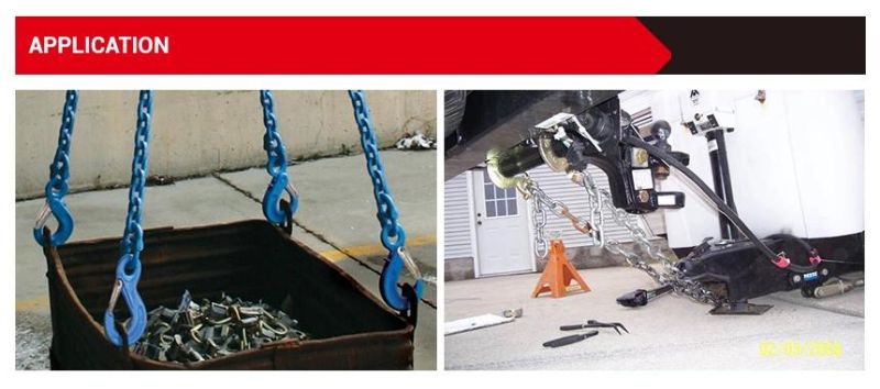 Us Type S320 Eye Hook with Latch