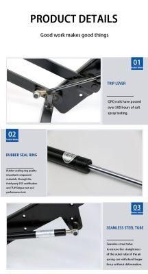 Ruibo Hot Sale Soft Open Damper Gas Spring for Overturn Computer Desk