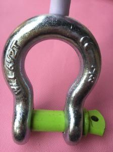 Industrial Grade Stainless Steel Material Shackle Bow Shackle