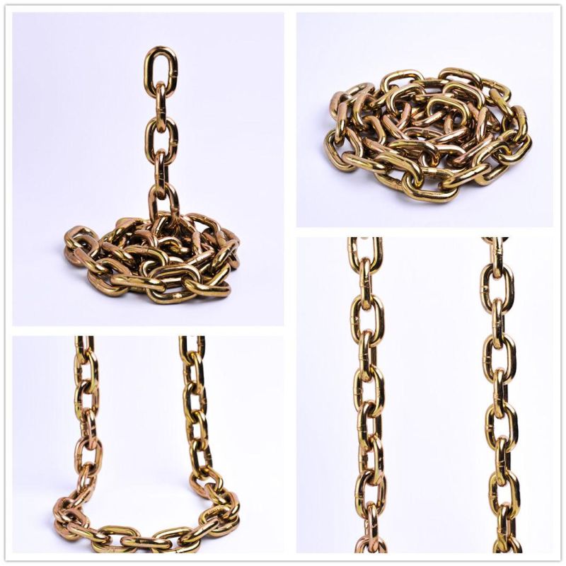 Us Type Nacm 2010 G70 Grade 70 Transport Chain