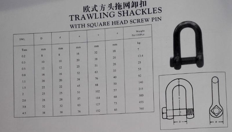 Trawling Shackle with Square/Round Head Pin