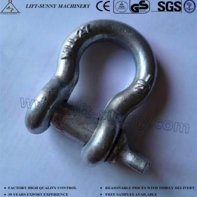 HDG U. S. Type Forged G209 Screw Pin Anchor Shackle