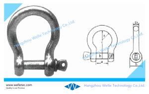 European Large Bow Shackle