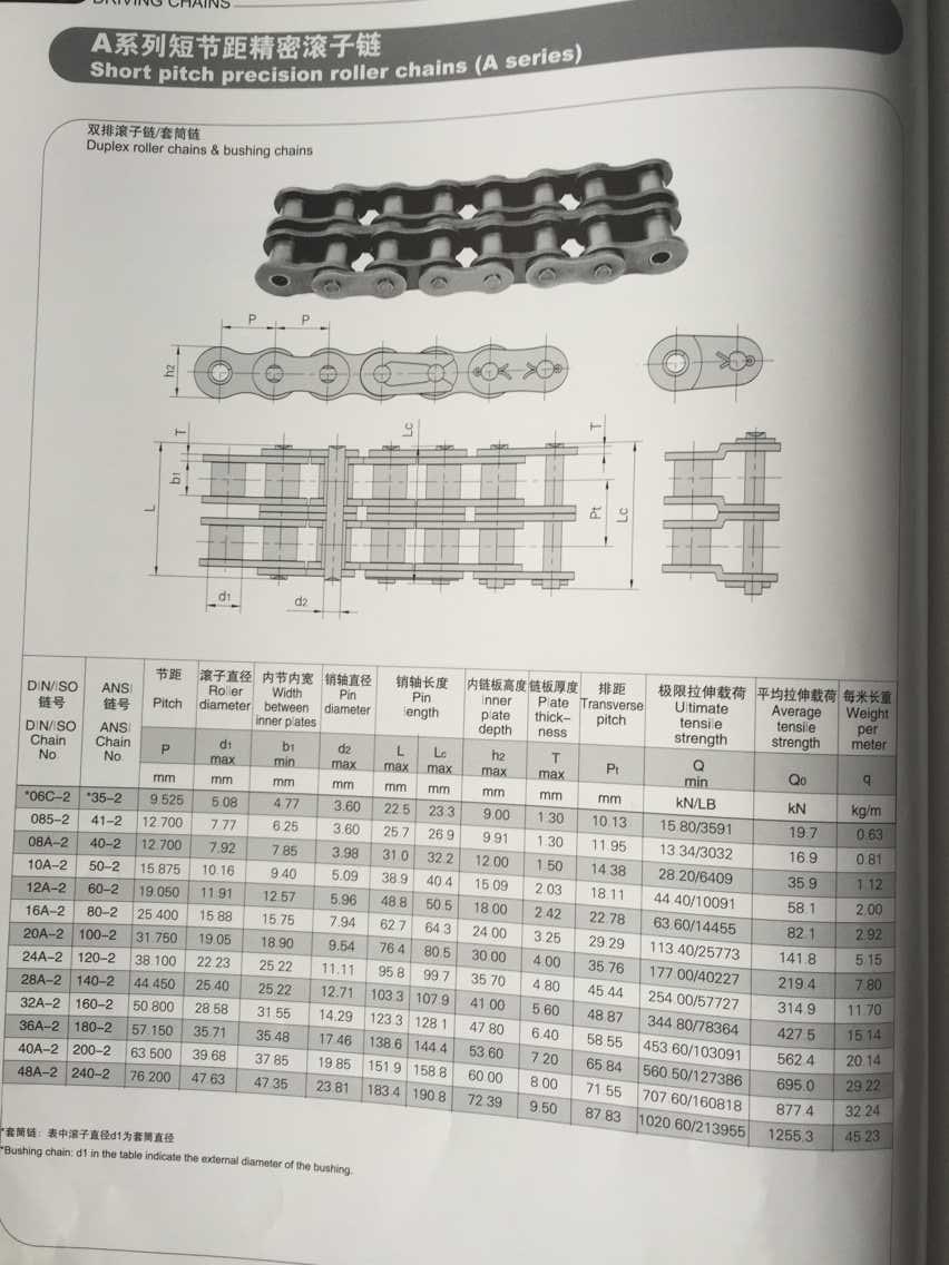 a Series Roller Chain (duplex)