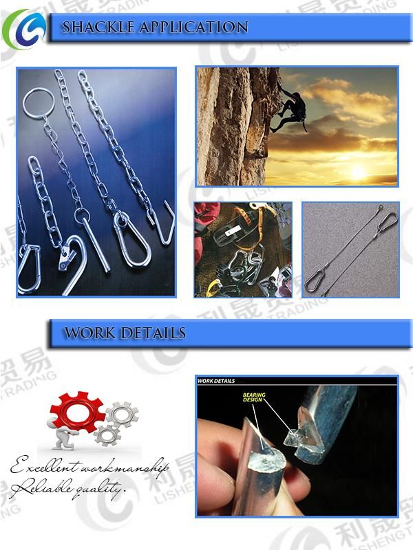China Manufacturer of DIN5299d Snap Hook with Screw