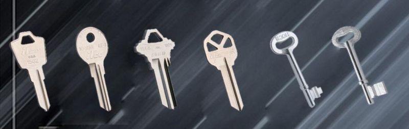 CS4 Popular in South America Brass Key Blank Door Blank Key with UL050 Groove Type