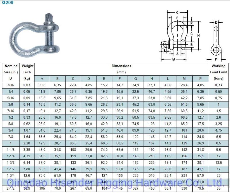 Shackle, D Type, Ss316 and Galvanized Type, European D Type, JIS D Type, Rigging Hardware, Marine Hardware