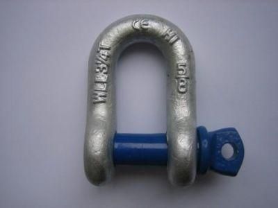 Screw Pin Us Type Steel Drop Forged D Shackle G210