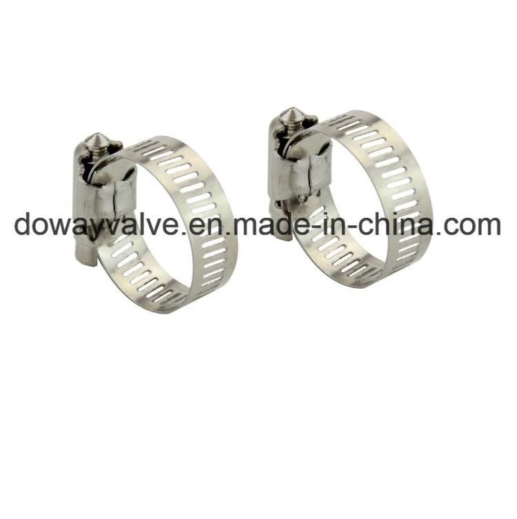 Custom Special American Hose Clamp