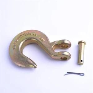 Stainless Steel Eye Type Slip Hook with Latch