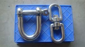 Stainless Steel 304 D Shackle