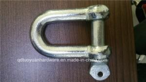 Factory Supplier Large Bow Shackle European Type, Marine Hardware