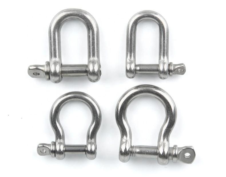 High Quality Stainless Steel 316 Lifting D Shackle