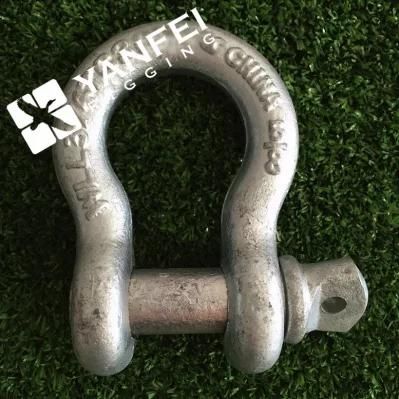 Galvanized Us Type Anchor Shackle