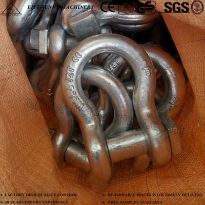 G209 Us Type Screw Pin Anchor Shackles Square Head Shackle